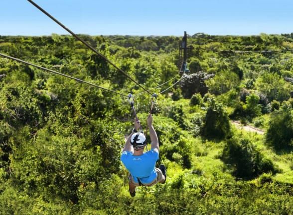 Zip Line Adventure